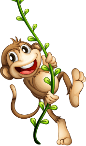 Meilleur abonnement avec King IPTV Plus